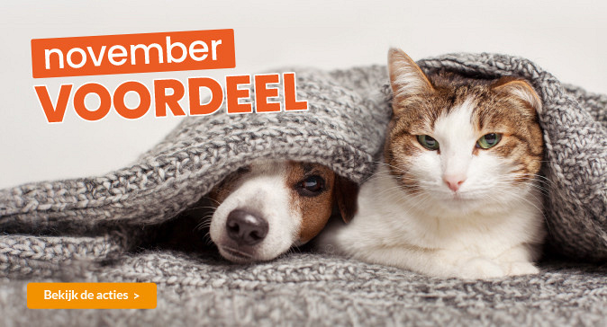 slider november 2025 674x364