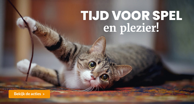 slider maart 2026 674x364