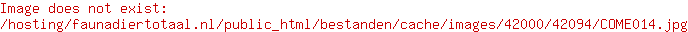 Dog Comets bal Stardust groen