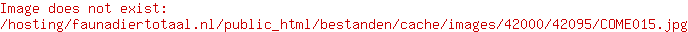 Dog Comets bal Stardust zwart/groen