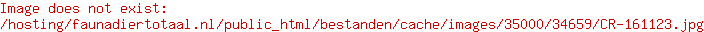 Petlando hondenmand Montreal beige