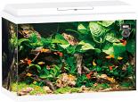 Juwel aquarium Primo 70 wit