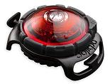 Orbiloc Safety Light Dog Dual rood