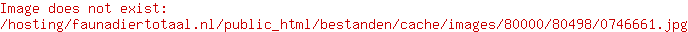 Beeztees Borsttuig Geo Donkergroen 