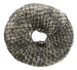 TRIXIE Denta Fun Fish Chewing Rings 10 cm 110 gr