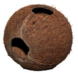 JBL Cocos Cava 1/1 L