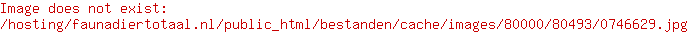 Beeztees Borsttuig Vista Donkergrijs