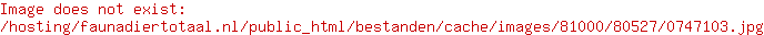 Beeztees Borsttuig Uni Beige
