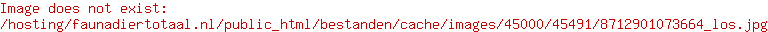 Voederplatform met pindanet, mezenbol en vetring