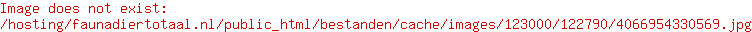 Petlando Orthopedisch Hondenmatras Venezia Grijs