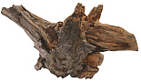 SuperFish Driftwood L
