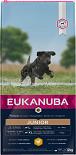 Eukanuba Hondenvoer Junior L/XL Chicken 12 kg