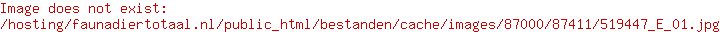 Flamingo hondenspeelgoed Cheery Paard