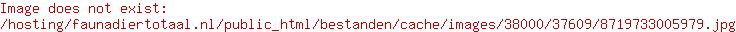 Lex & Max boxbed Boutique sand