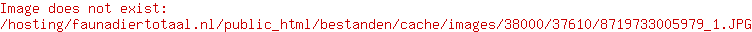 Lex & Max boxbed Boutique sand