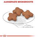 8 + 1 kg Royal Canin hondenvoer Mini Adult