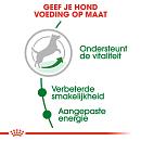 8 + 1 kg Royal Canin hondenvoer Mini Adult