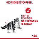 Royal Canin Kattenvoer Urinary Care 10 kg