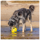 Beeztees Fetch Speelbal Power Geel