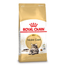 Royal Canin Kattenvoer Maine Coon Adult 10 kg