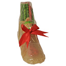 Kauwschoen gevuld met Munchy Groot