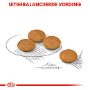 Royal Canin Hondenvoer Derma-comfort  Mini 3 kg