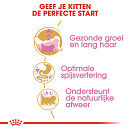 Royal Canin Kattenvoer Persian Kitten 4 kg