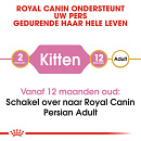 Royal Canin Kattenvoer Persian Kitten 4 kg
