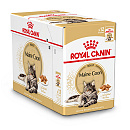 Royal Canin Kattenvoer Maine Coon Adult <br>12 x 85 gr