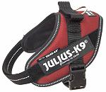 Julius K9 IDC Powerharness bordeaux