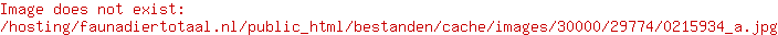 Voederstation wit/leisteen