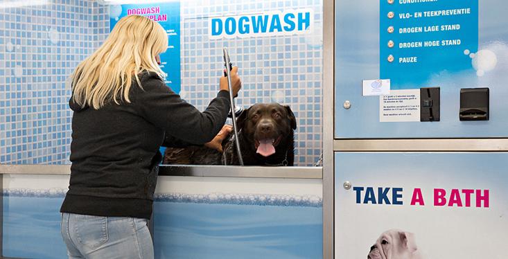 Dogwash in onze winkel