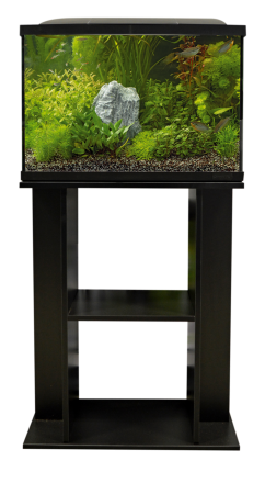 SuperFish meubel Start 70 zwart