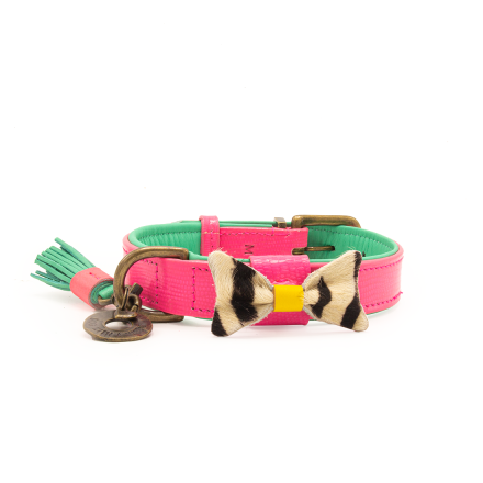 Dog with a Mission halsband Blossom