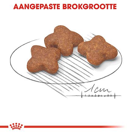 8 + 1 kg Royal Canin hondenvoer Mini Adult