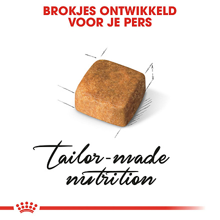 Royal Canin Kattenvoer Persian Kitten 400 gr