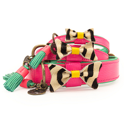 Dog with a Mission halsband Blossom