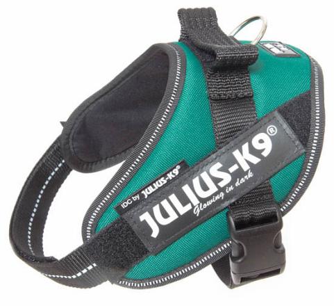 Julius K9 IDC Powerharness dark green