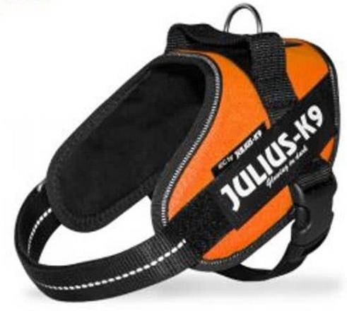 Julius K9 IDC Powerharness UV orange