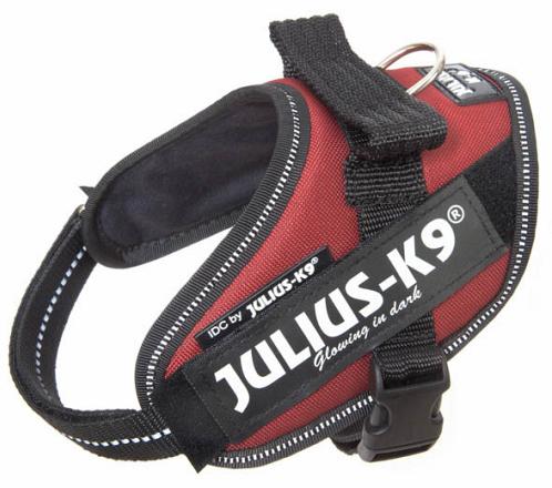 Julius K9 IDC Powerharness bordeaux