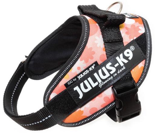 Julius K9 IDC Powerharness pink flower